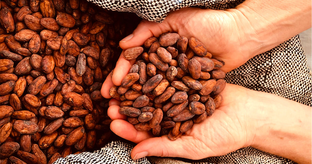 Our Raw Cacao Beans